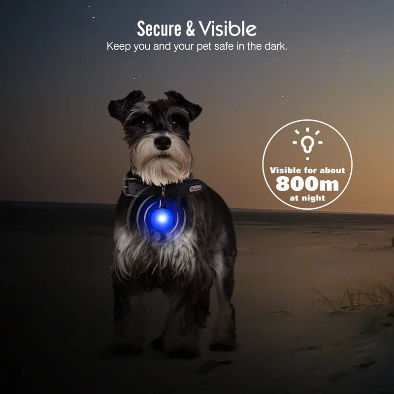 USB Rechargeable LED Dog & Cat Collar – Glowing Night Safety