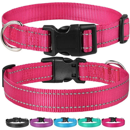 Adjustable Reflective Dog Collar – Safety Nylon Strap