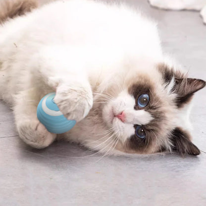 Self-Moving Electric Cat Ball – Interactive Rolling Toy