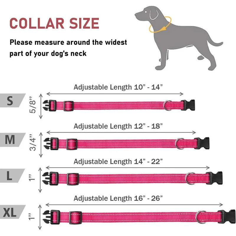 Adjustable Reflective Dog Collar – Safety Nylon Strap