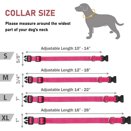 Adjustable Reflective Dog Collar – Safety Nylon Strap