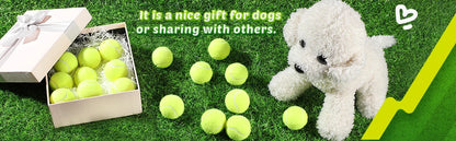 2-Inch Tennis Balls for Dogs – 12-Pack