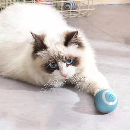 Self-Moving Electric Cat Ball – Interactive Rolling Toy