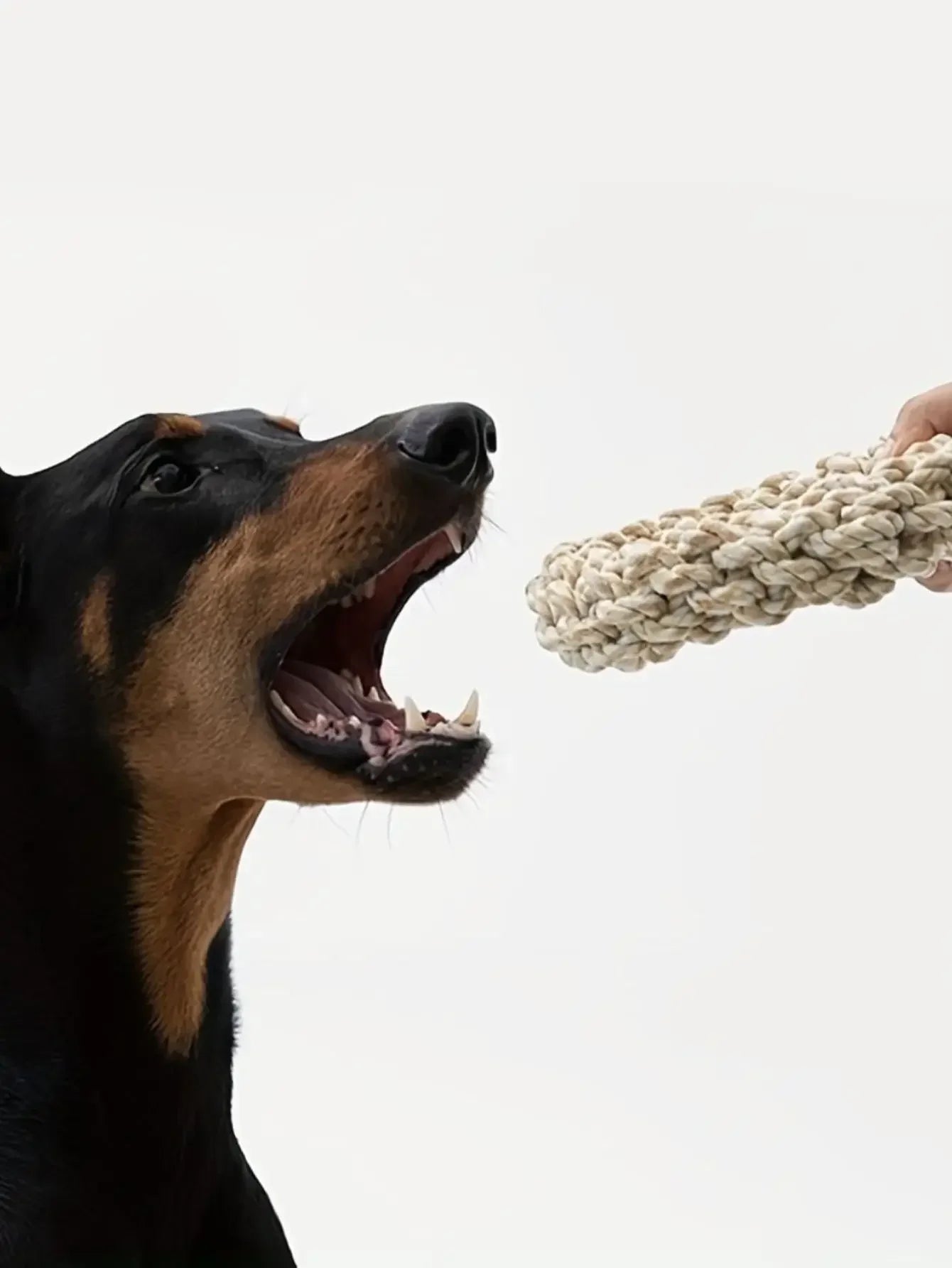 Durable Rope Dog Toy – Chew & Bite-Resistant