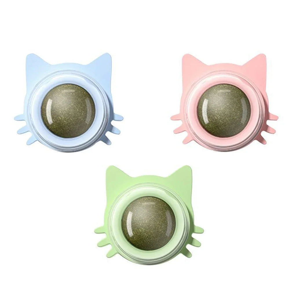 Catnip Lollipop Treat – Dental Care & Fresh Breath