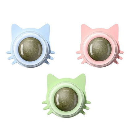 Catnip Lollipop Treat – Dental Care & Fresh Breath