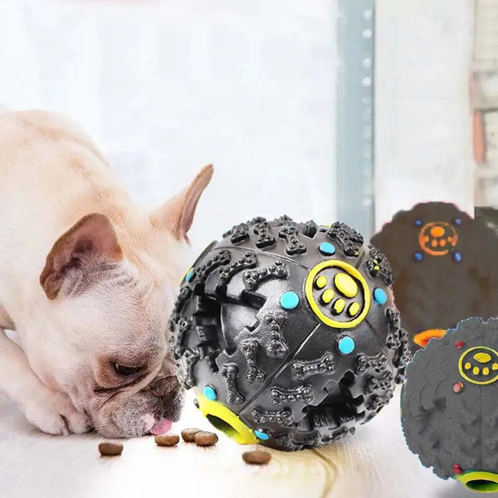 Black Molars Chew & Treat Dispensing Ball – Dog Educational Toy