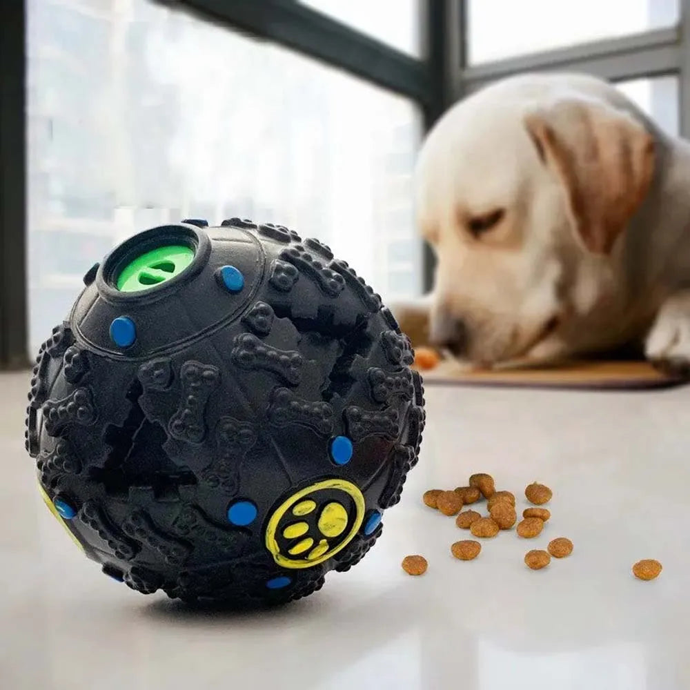Black Molars Chew & Treat Dispensing Ball – Dog Educational Toy