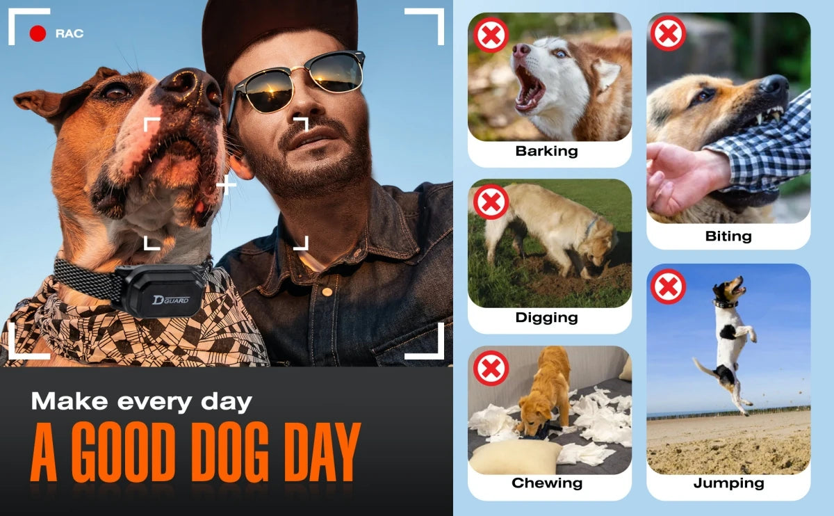 Digital Dog Training Collar – 800m Range, Waterproof & Recha