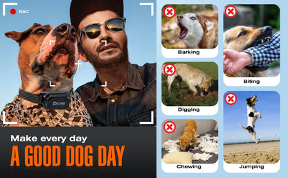 Digital Dog Training Collar – 800m Range, Waterproof & Recha