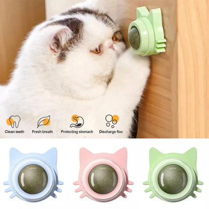 Catnip Lollipop Treat – Dental Care & Fresh Breath