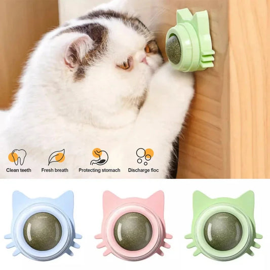 Catnip Lollipop Treat – Dental Care & Fresh Breath