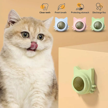 Catnip Lollipop Treat – Dental Care & Fresh Breath