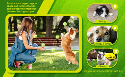 2-Inch Tennis Balls for Dogs – 12-Pack