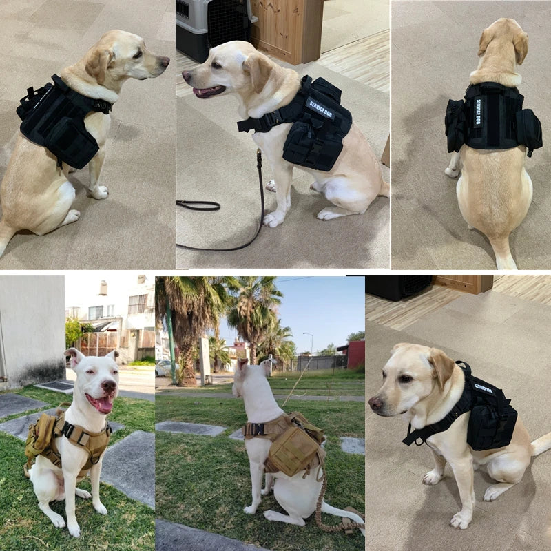 Tactical Dog Harness & Leash Set – Military Style