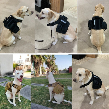 Tactical Dog Harness & Leash Set – Military Style