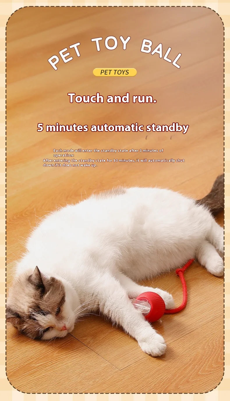 Automatic Rolling Cat & Dog Ball Toy – Rechargeable Smart Mouse