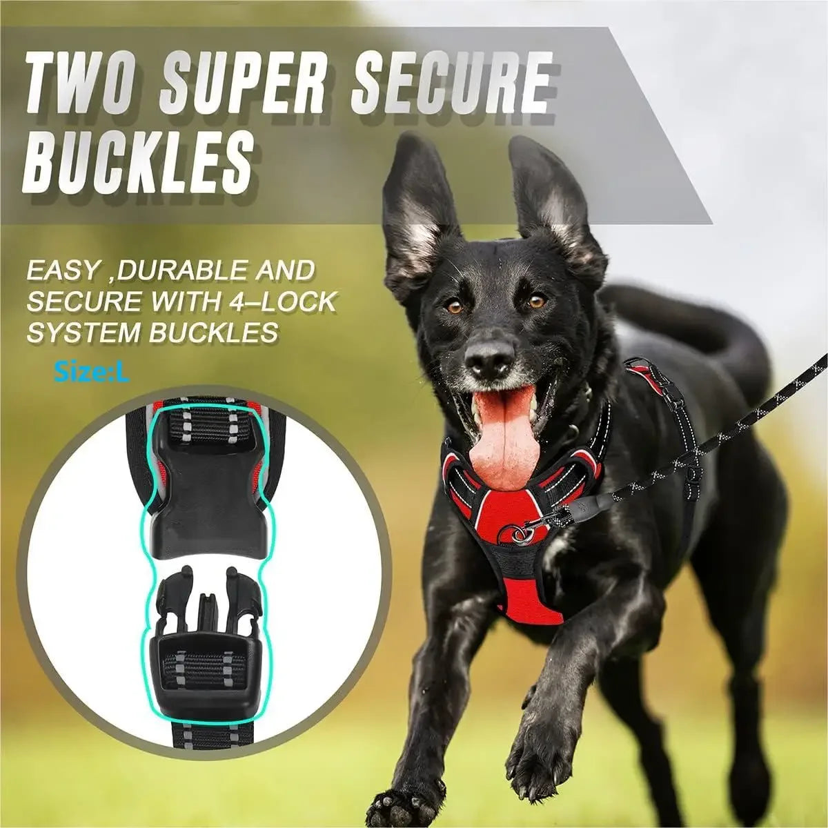 No-Pull Dog Harness – Heavy Duty with Front Clip