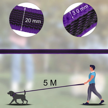 FlexiPaw™ Dual-Color Training Dog Leash (1.5M–15M)