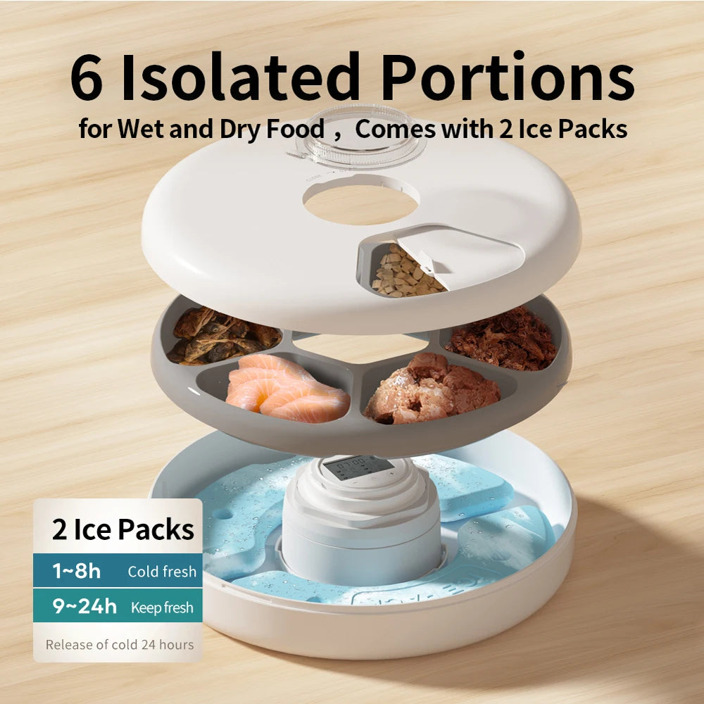 SmartFeast™ 6-Meal Automatic Pet Feeder