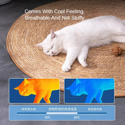 RattaPaw™ Cat Scratcher Rattan Mat