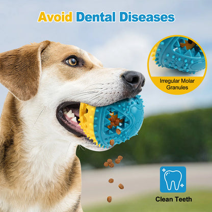 Interactive Chew Ball Dog Toy – Teeth Cleaning & Food Dispensing
