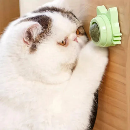 Catnip Lollipop Treat – Dental Care & Fresh Breath