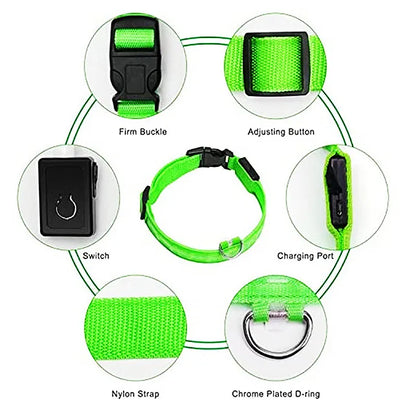 USB Rechargeable LED Dog & Cat Collar – Glowing Night Safety