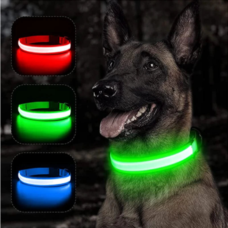 USB Rechargeable LED Dog & Cat Collar – Glowing Night Safety