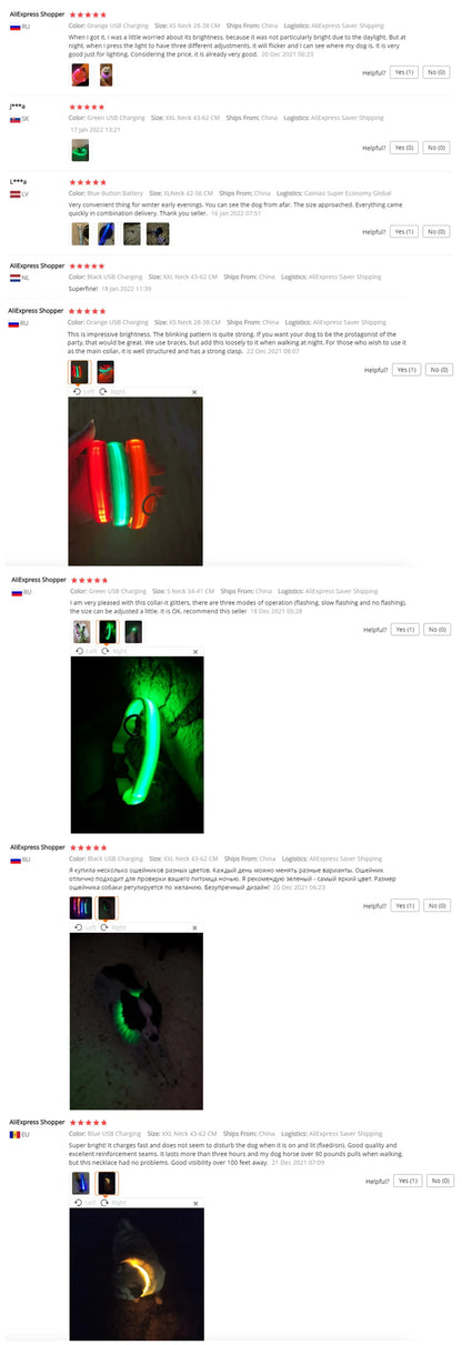 USB Rechargeable LED Dog & Cat Collar – Glowing Night Safety