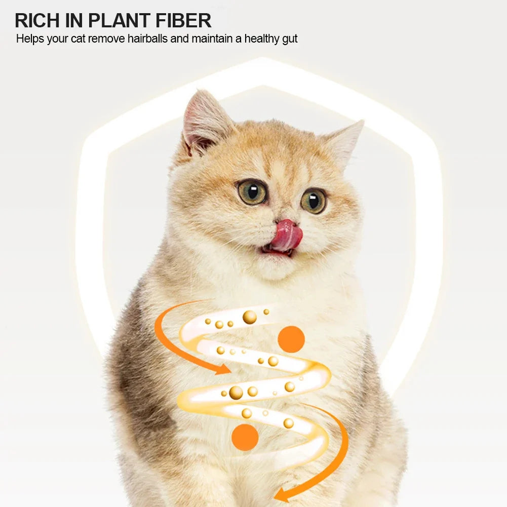 Catnip Lollipop Treat – Dental Care & Fresh Breath