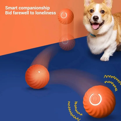 Smart Automatic Rolling Dog Ball – USB Rechargeable Interactive Toy