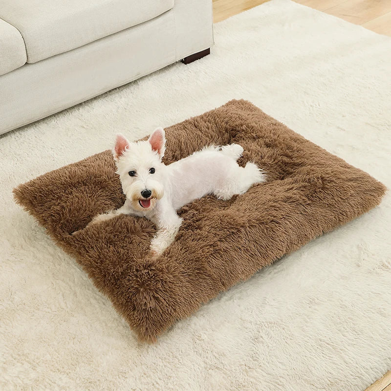 Plush Pet Bed House – Cozy Dog & Cat Sofa