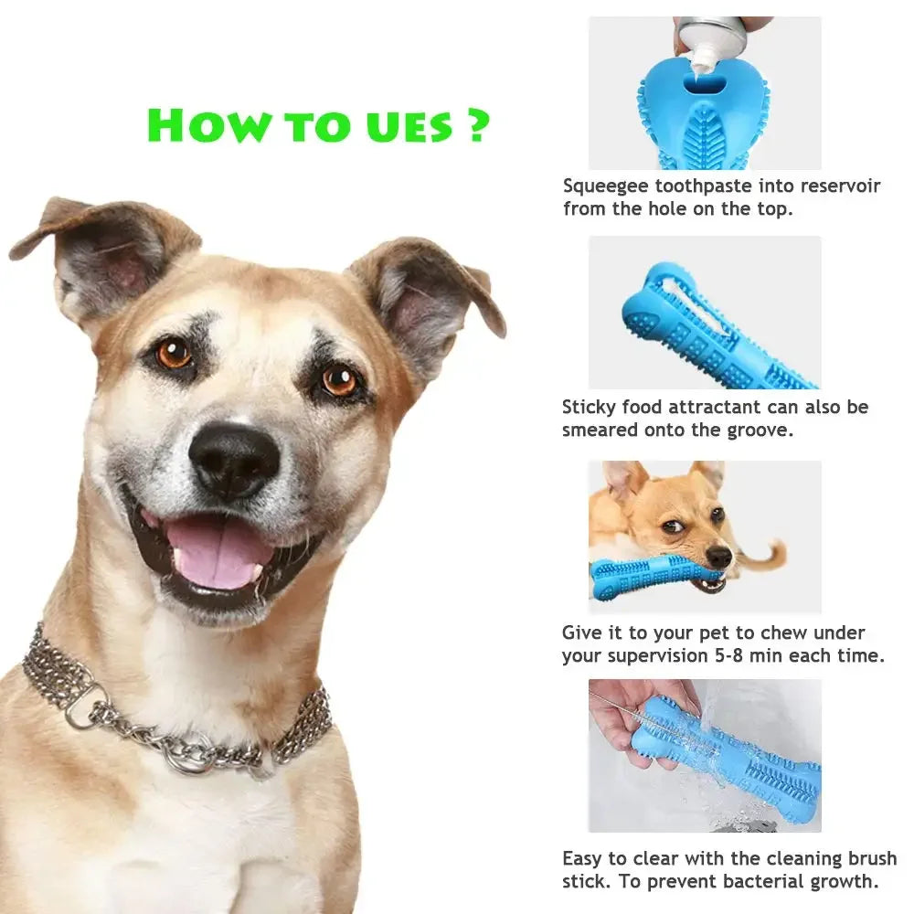 Soft Rubber Dog Chew Toy – Toothbrush & Training Stick