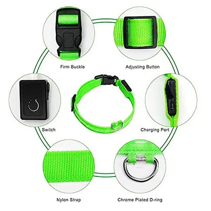 LED Glowing Dog Collar – Adjustable Flashing Night Safety