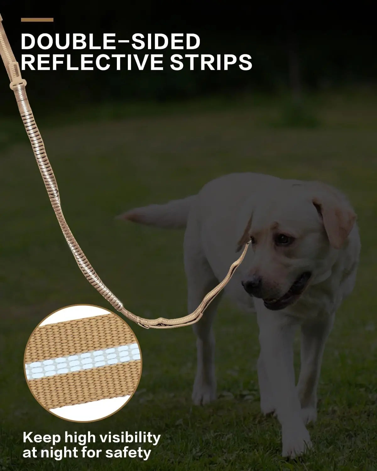 TactiPaw™ Reflective Bungee No-Pull Dog Leash