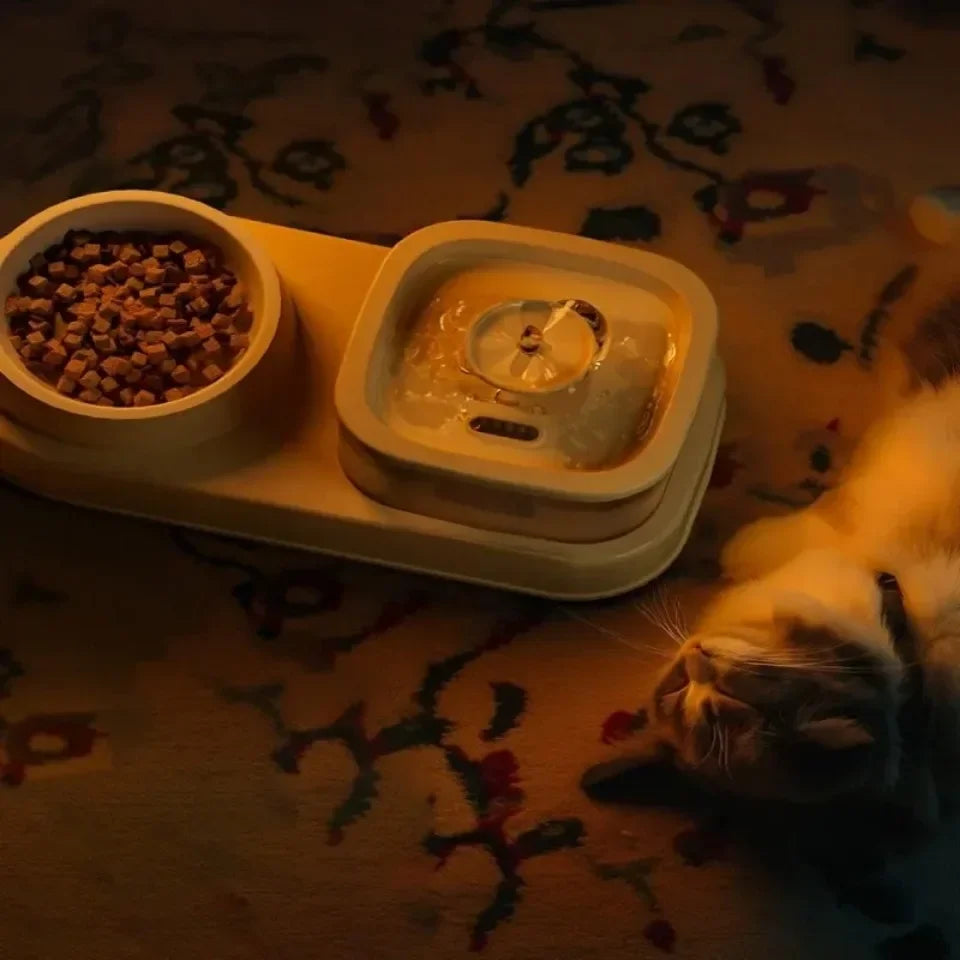PurrFlow™ 2-in-1 Cat Water Fountain & Feede
