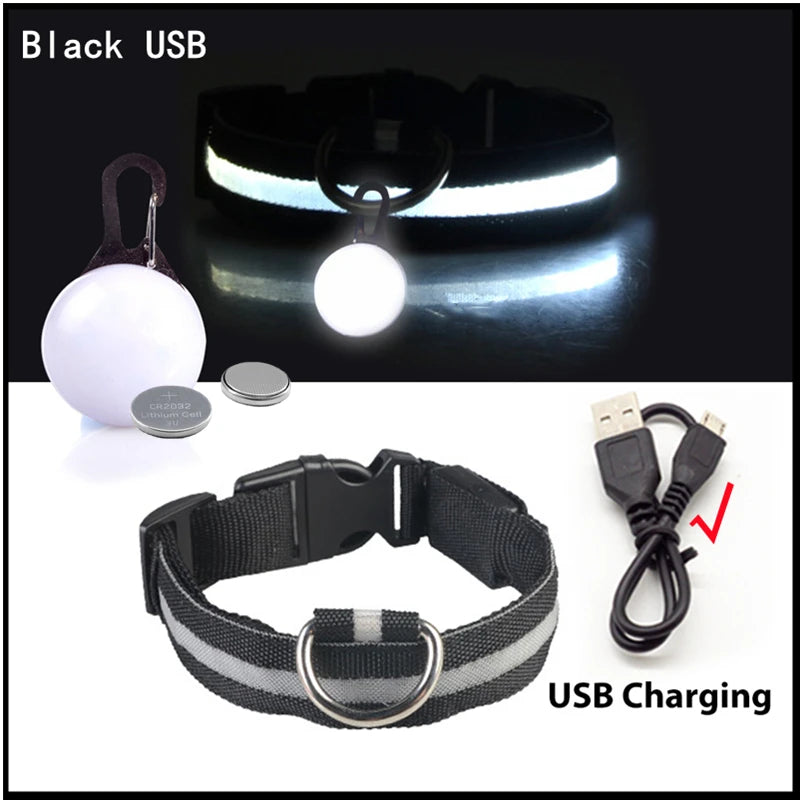USB Rechargeable LED Dog & Cat Collar – Glowing Night Safety