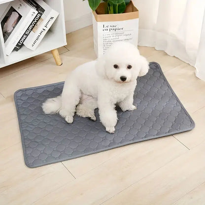 Reusable Waterproof Dog Pee Pad – Absorbent Training Mat