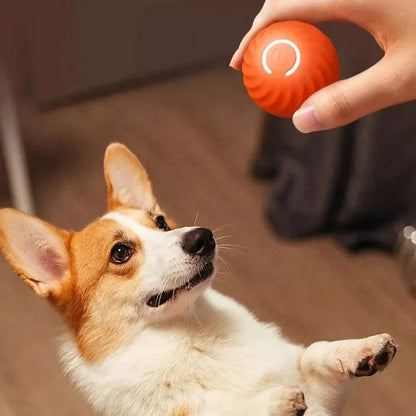 Smart Automatic Rolling Dog Ball – USB Rechargeable Interactive Toy