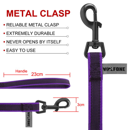 FlexiPaw™ Dual-Color Training Dog Leash (1.5M–15M)