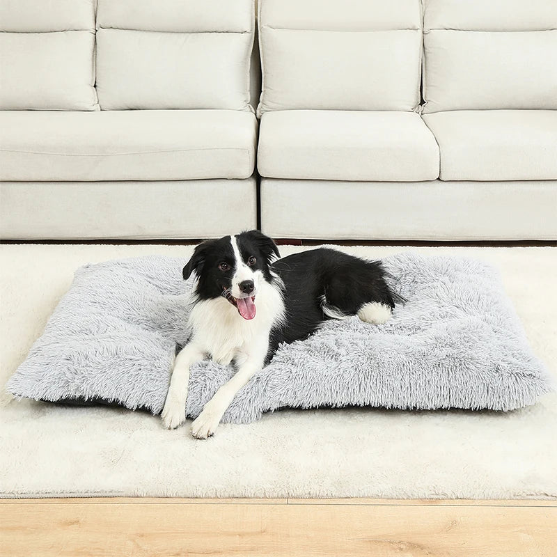 Plush Pet Bed House – Cozy Dog & Cat Sofa