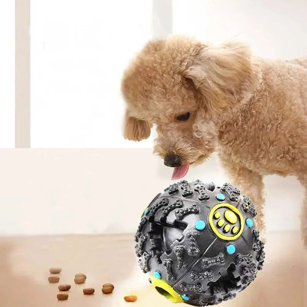 Black Molars Chew & Treat Dispensing Ball – Dog Educational Toy