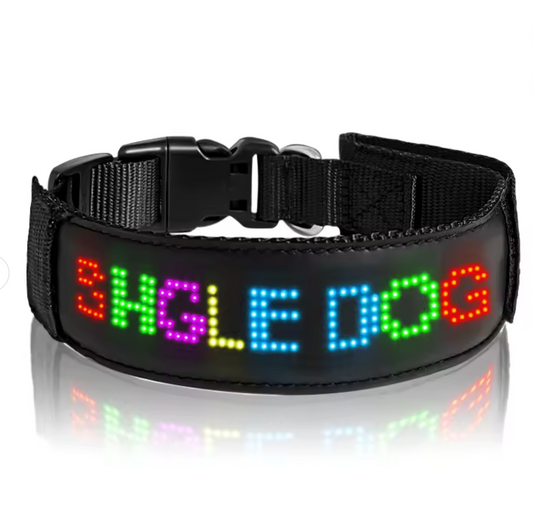 LED Dog Collar