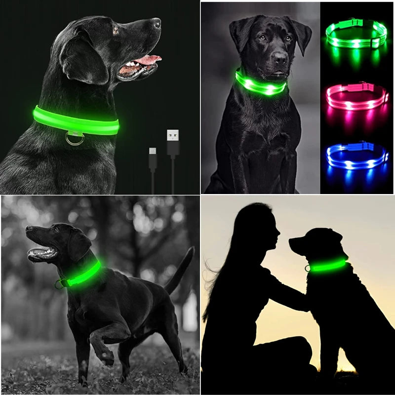 USB Rechargeable LED Dog & Cat Collar – Glowing Night Safety