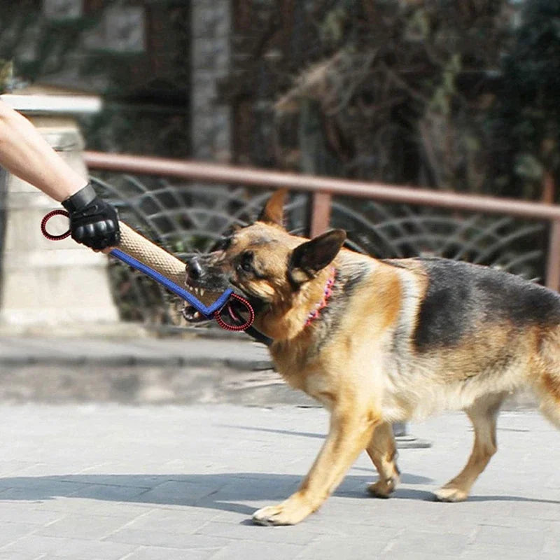 Coarse Jute Dog Chew Stick – Molar & Training Toy