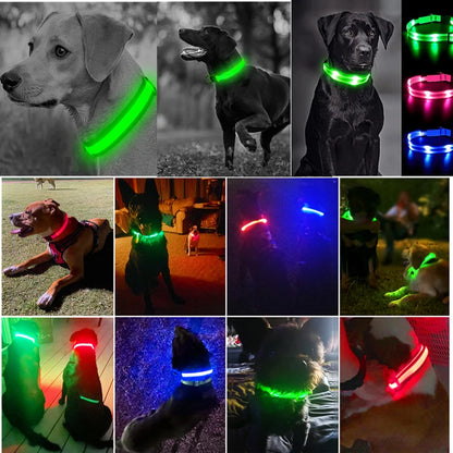 USB Rechargeable LED Dog & Cat Collar – Glowing Night Safety