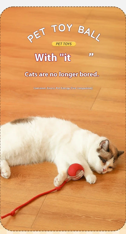 Smart Electric Rolling Dog & Cat Ball – Rechargeable Plush Mouse Toy