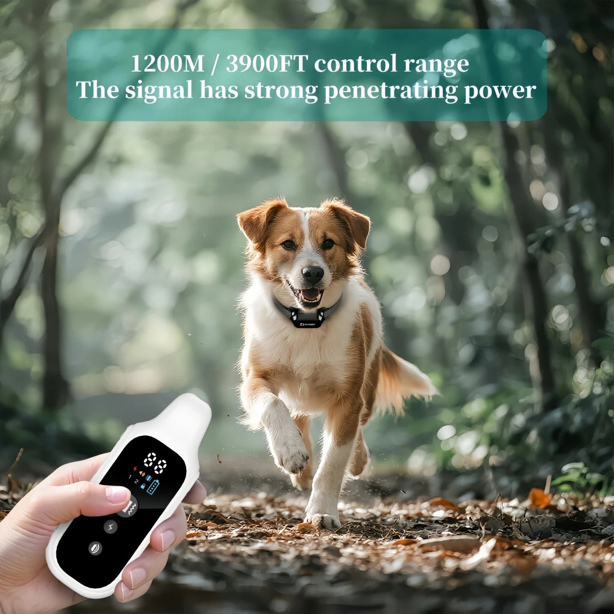 Digital Dog Training Collar – 800m Range, Waterproof & Recha