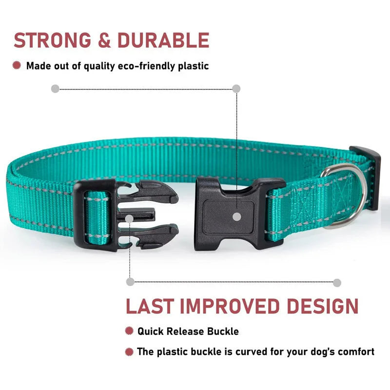 Adjustable Reflective Dog Collar – Safety Nylon Strap